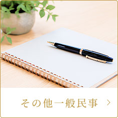 その他一般民事