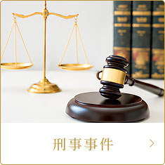 刑事事件